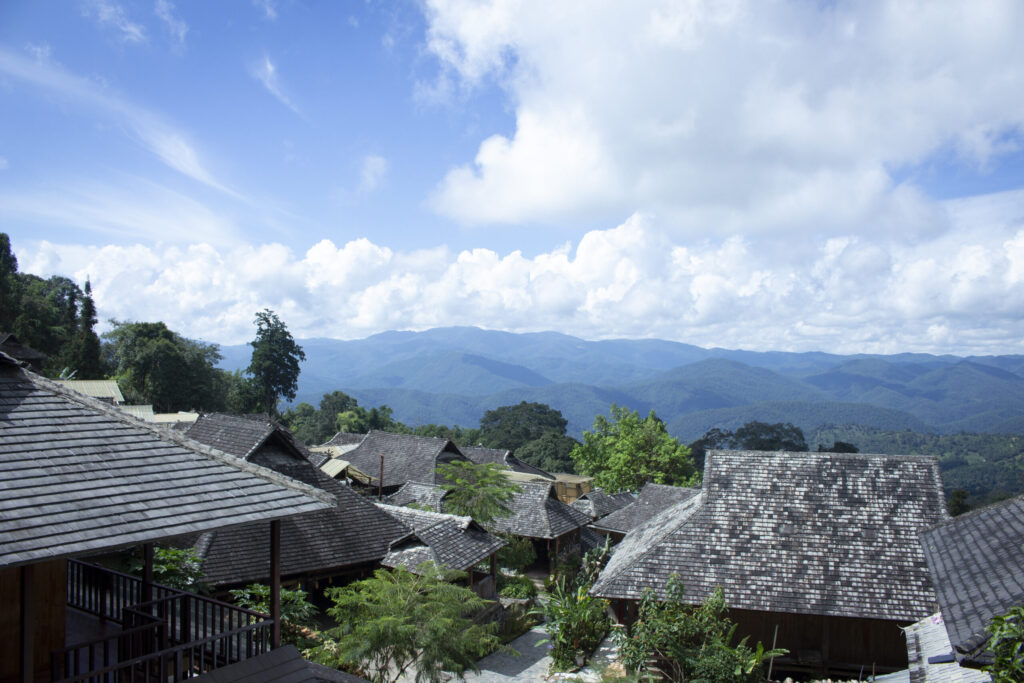 China Yunnan Tea from Jingmai Mountain