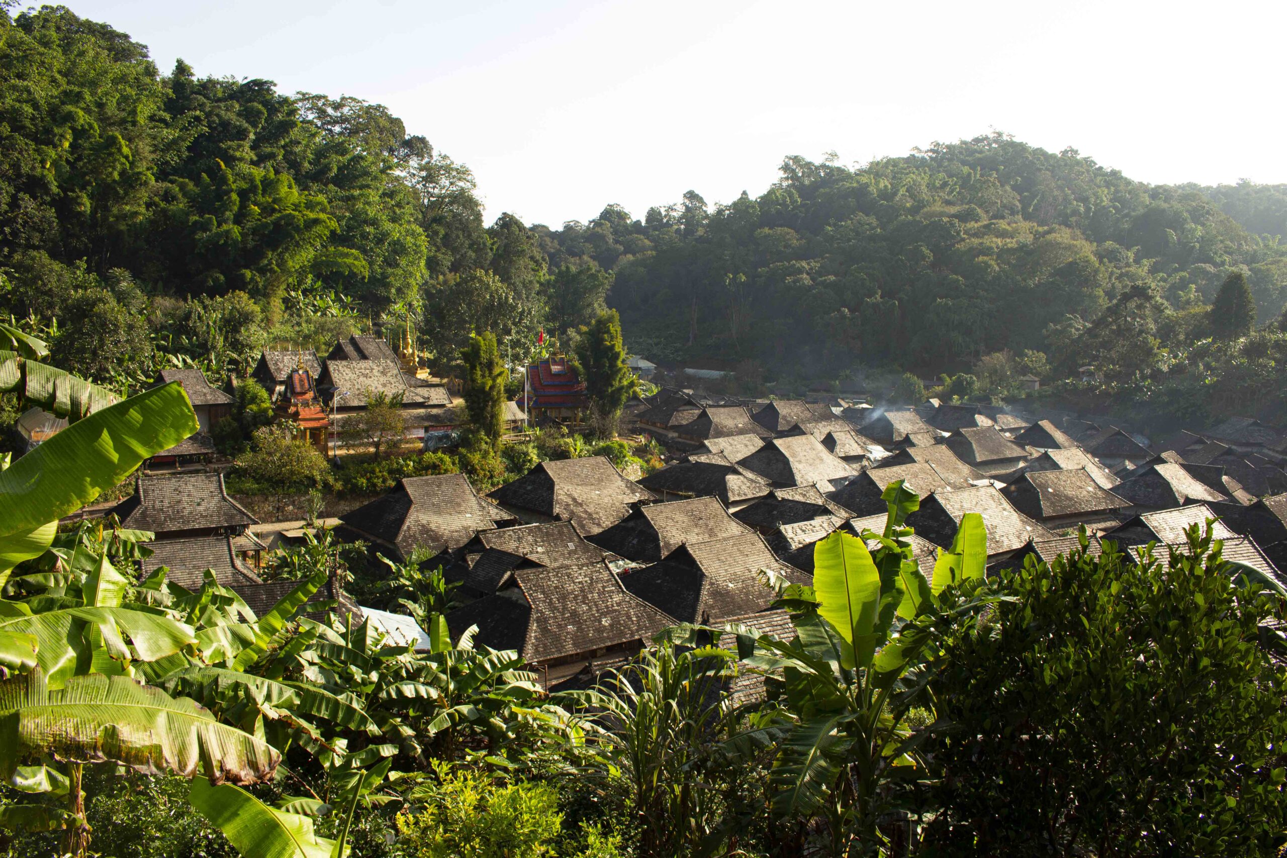 China Yunnan Tea: Heritage and Terroir