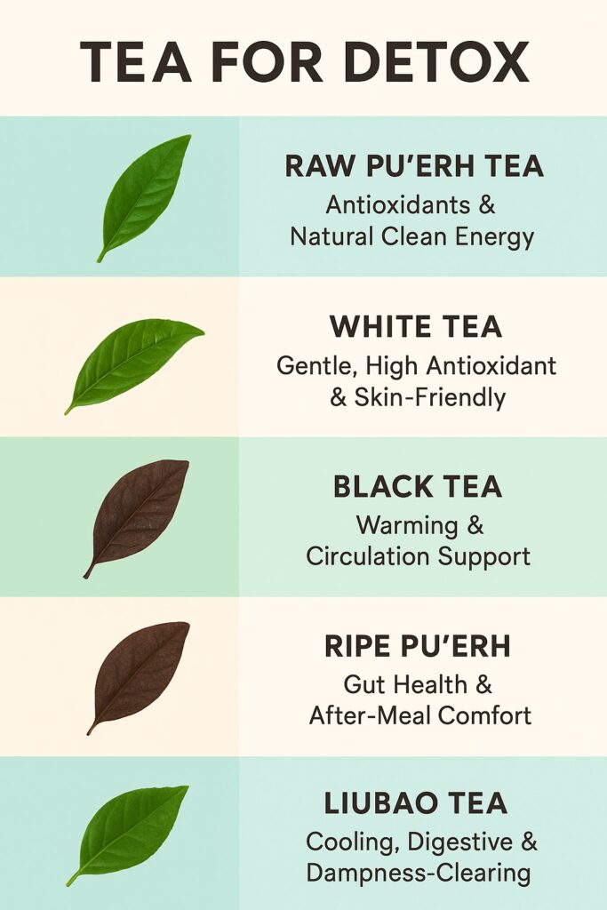 Different Types of Tea for Detox Support