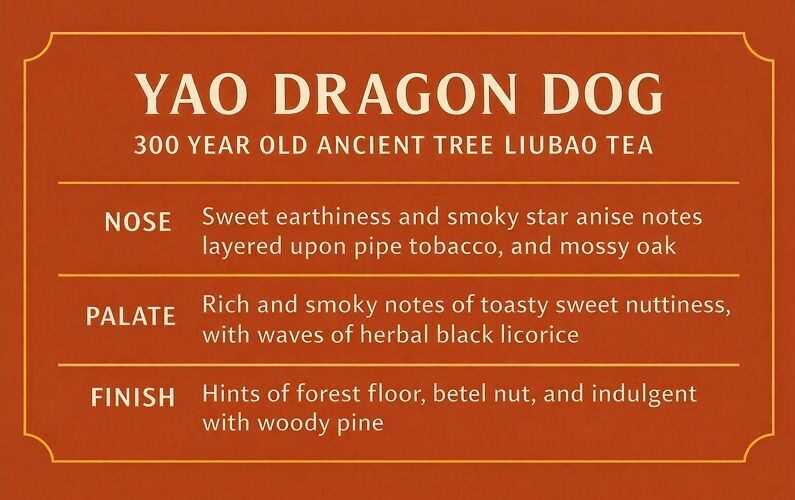 Yao Dragon Dog Ancient Tree Liubao Tea Flavor Card Profile