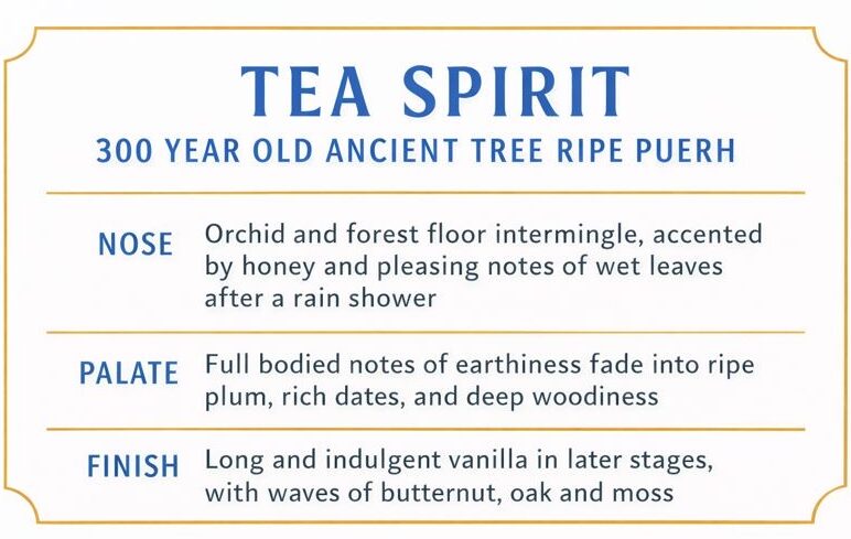 Tea Spirit 300 year old Ancient Tree Ripe Puerh Shou Puer Flavor Card Profile