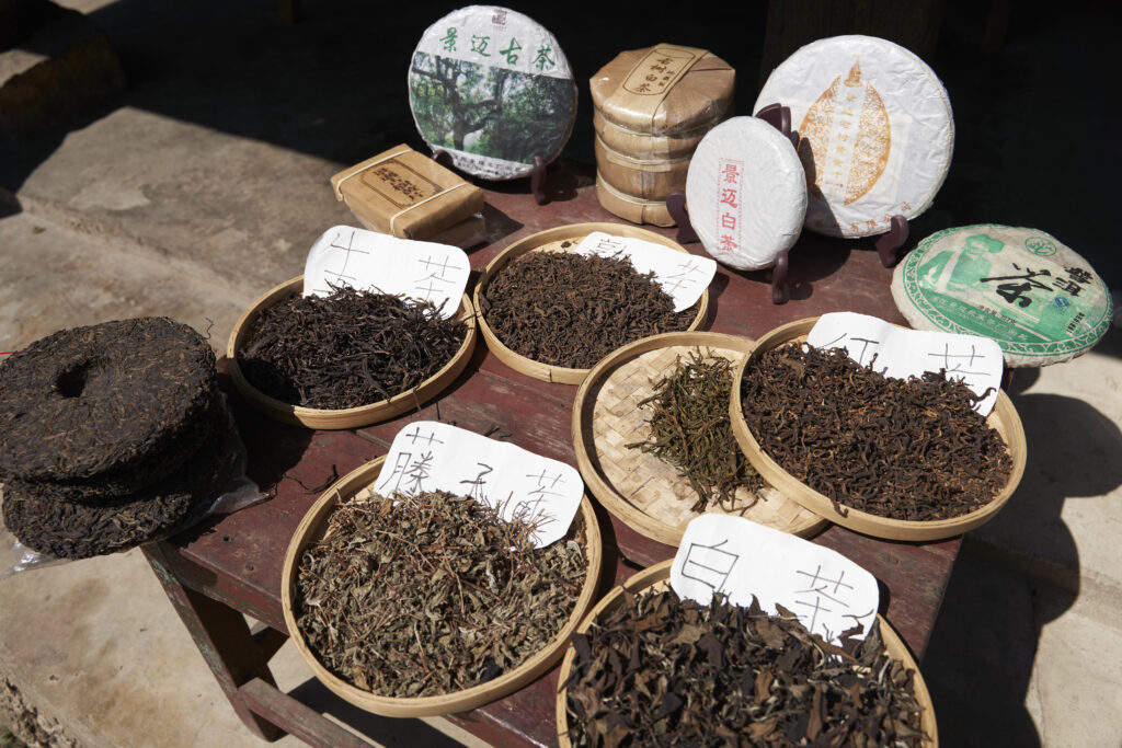 Compressed Teas on Jingmai Mountain (shou puerh)