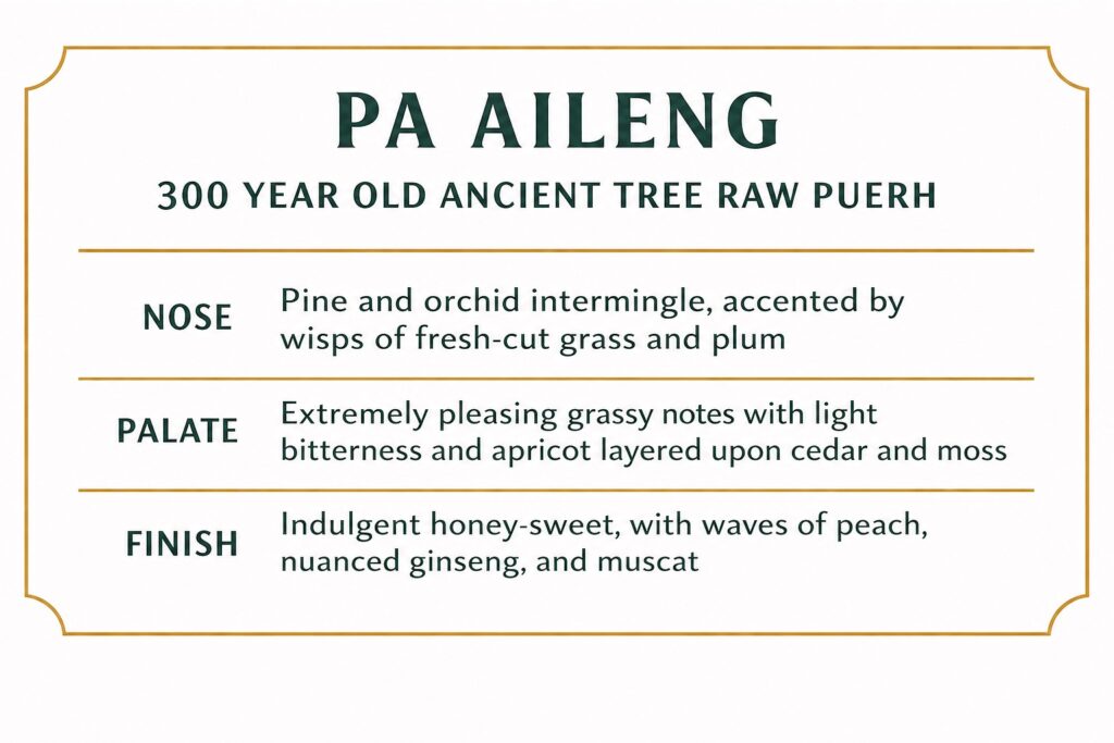 Pa Aileng 300 year old Ancient Tree Raw Puerh Flavor Card Profile