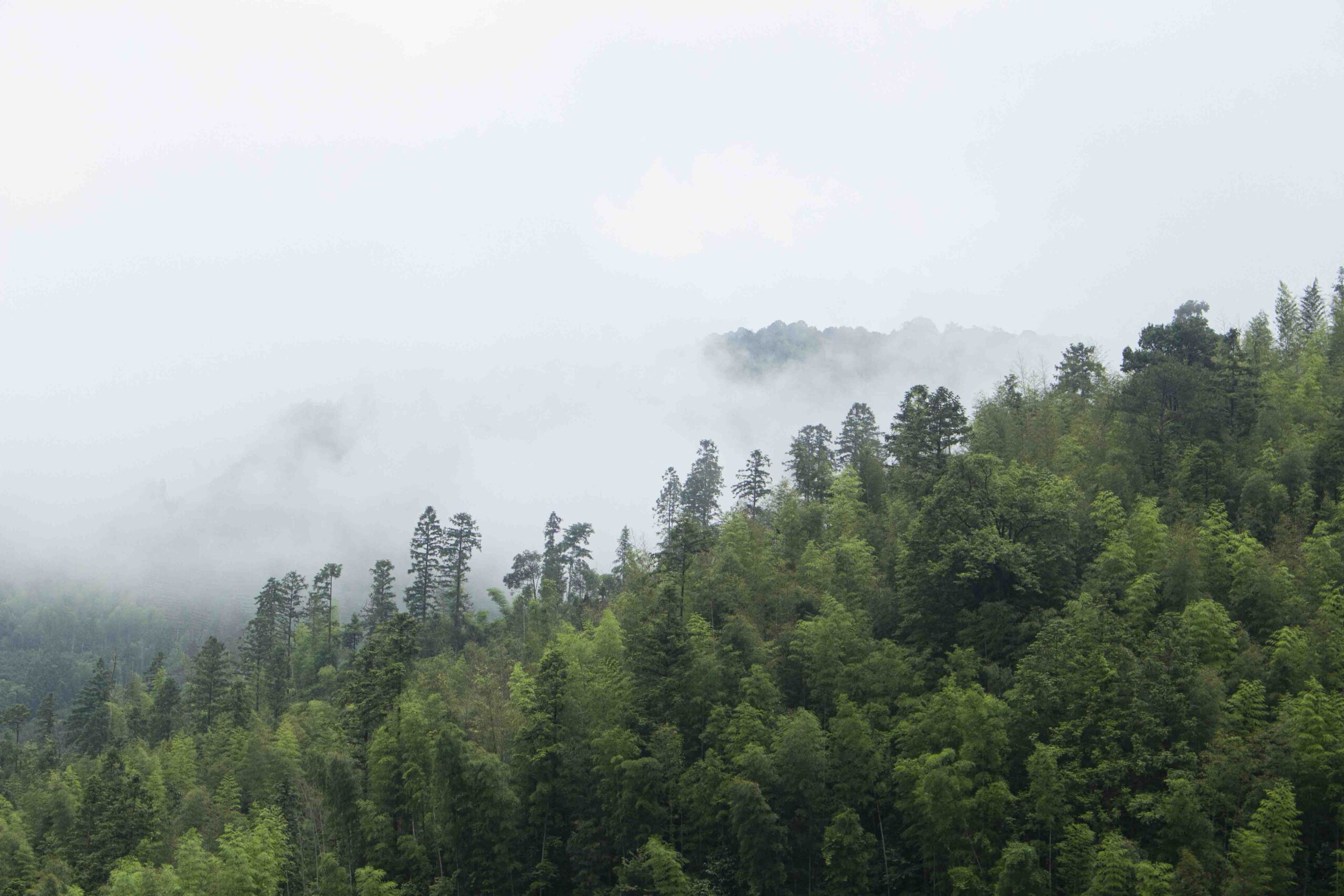 Wusandi Wuyi Mountain