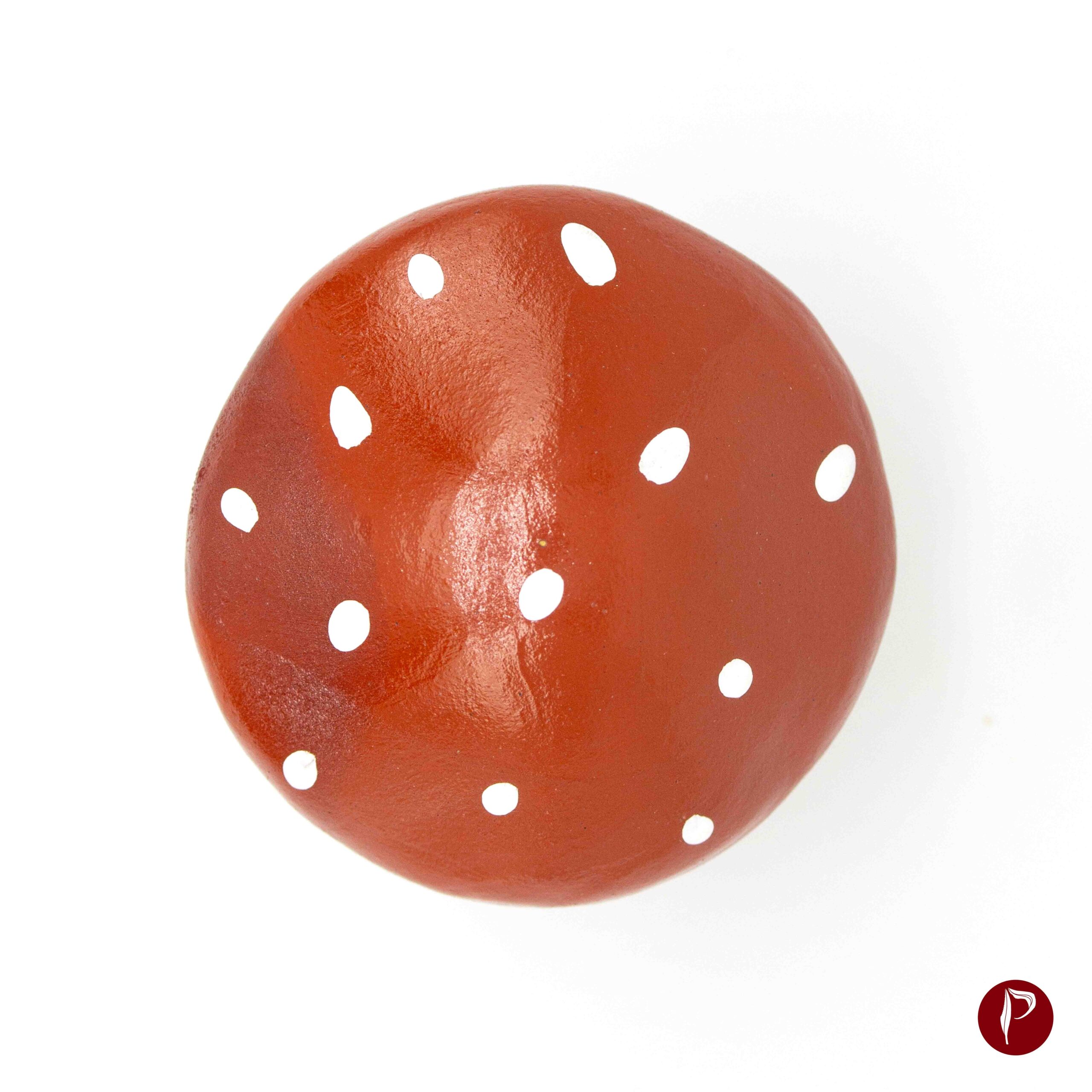 Mushroom Tea Pet - Image 3