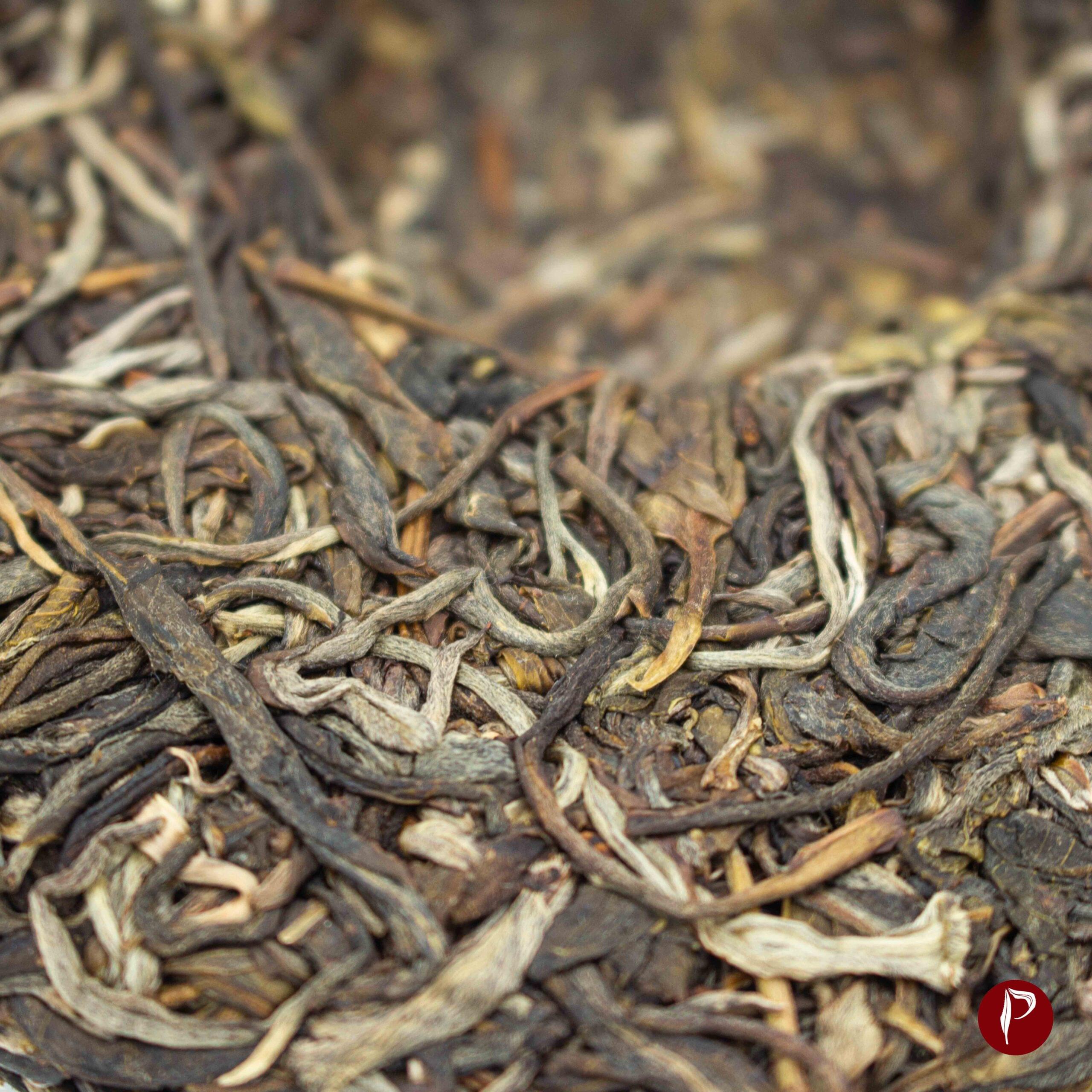 Pa Aileng Ancient Arbor Raw Sheng Puerh Tea detail