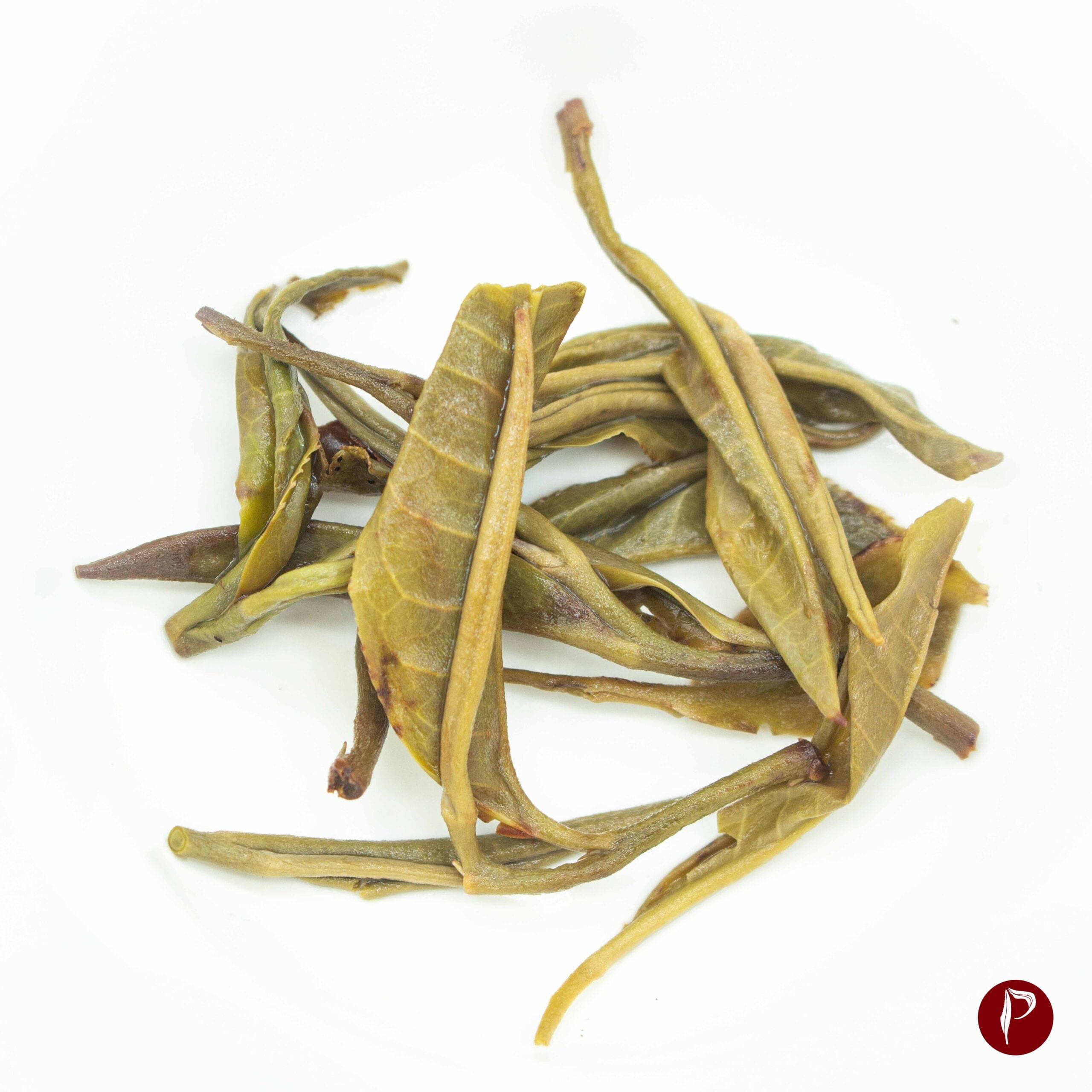 Pa Aileng Ancient Arbor Raw Puerh Wet Tea Leaves Jingmai Mountain Sheng Puerh Tea